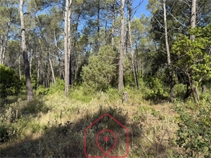 terrain à la vente -   83600  BAGNOLS EN FORET, surface 0 m2 vente terrain - NAO8150407